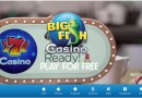 How to play craps at big fish casino